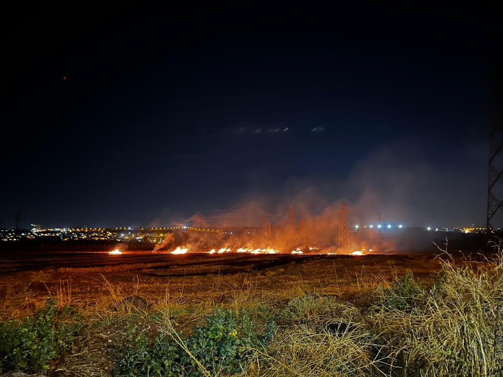 anizyangini-diyarbakir.jpg