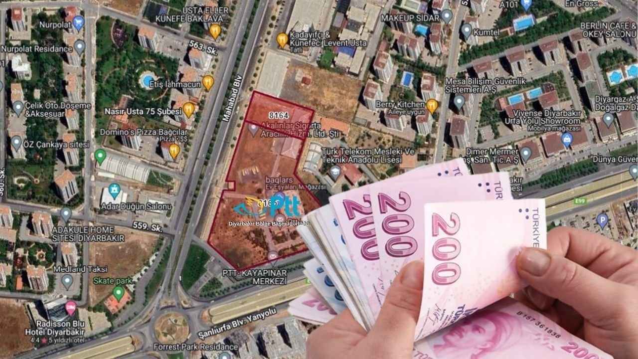 sezgin.jpg