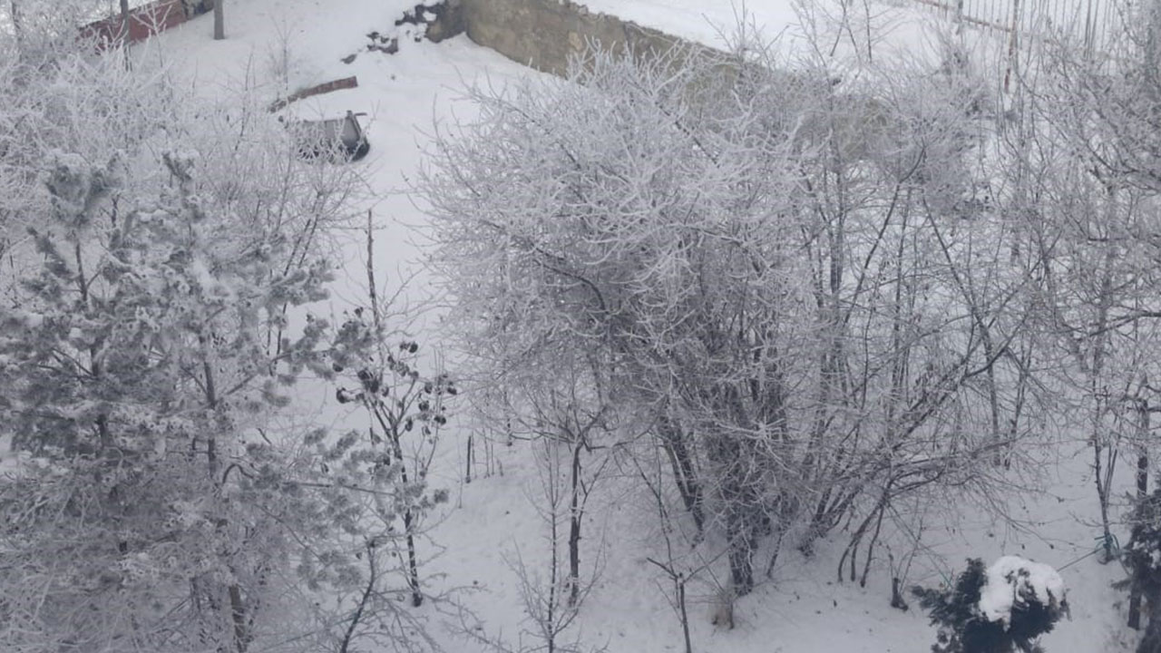 2-009.jpg