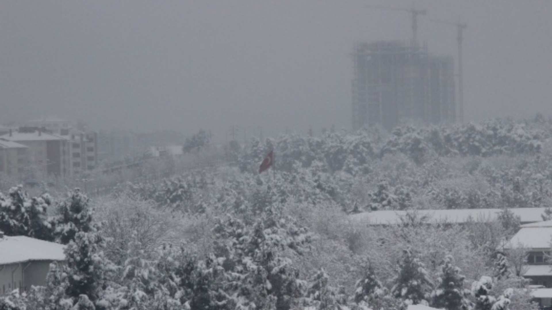 yilmaz-7.jpg