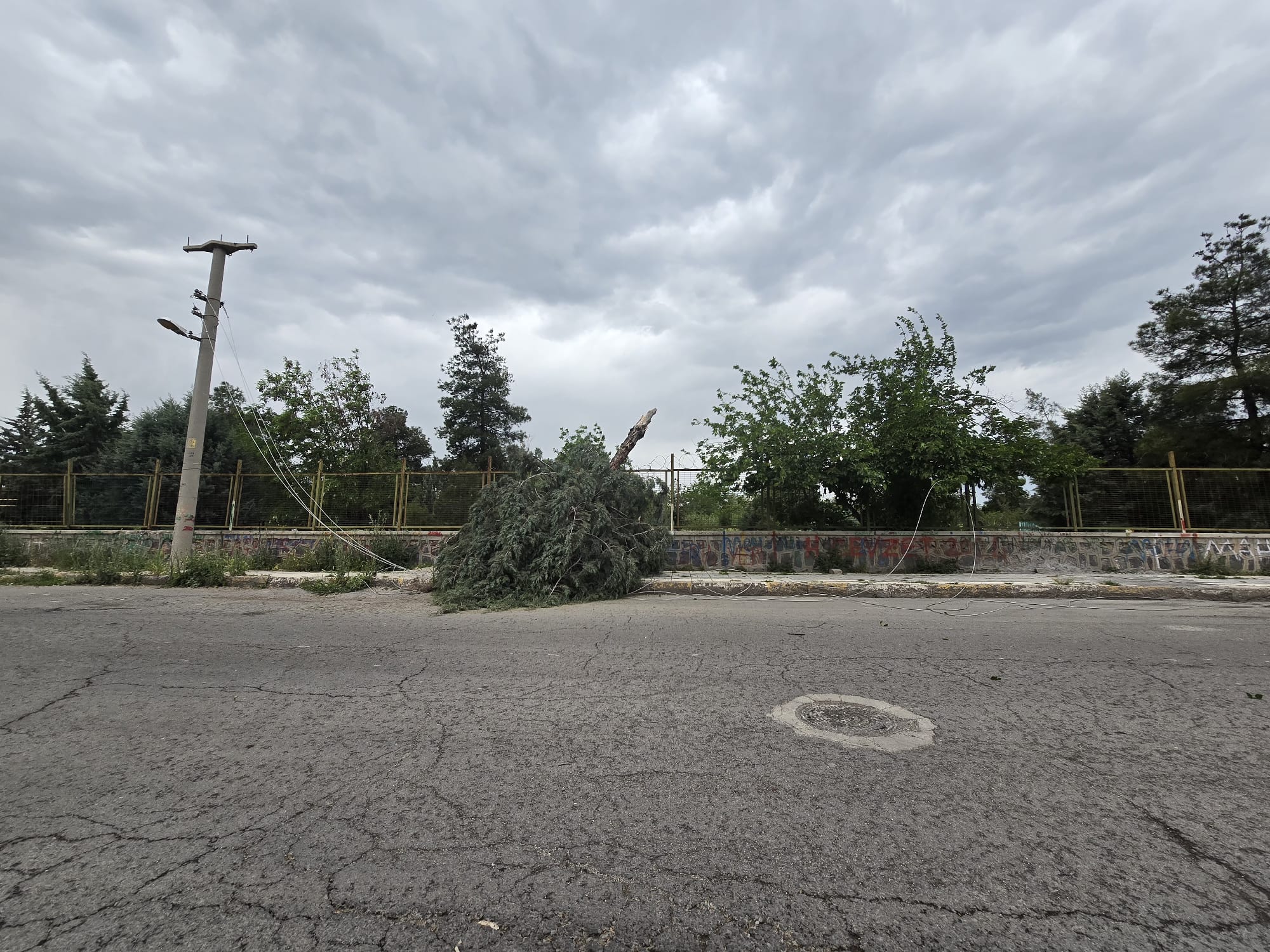 aw445241-03.jpg