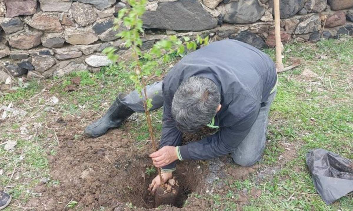 kars1.jpg