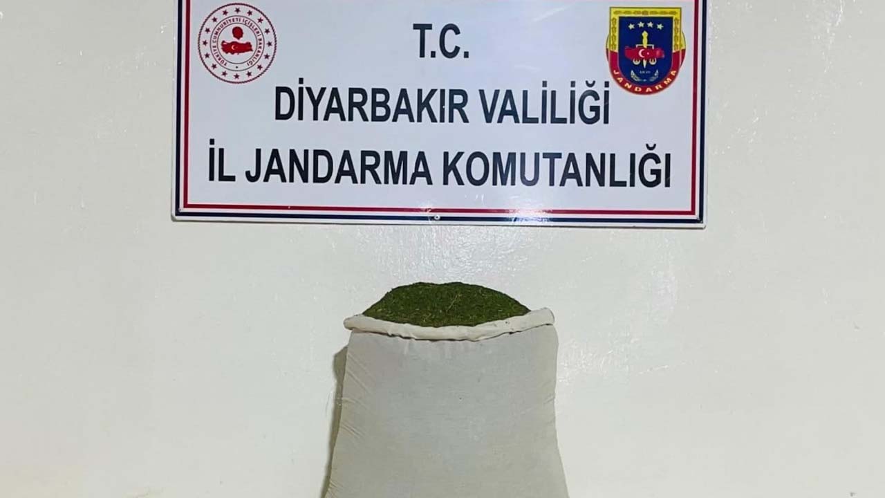 1-002.jpg