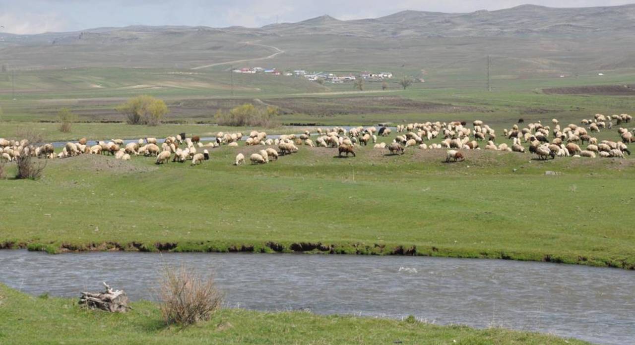 kars-mera-1.jpg