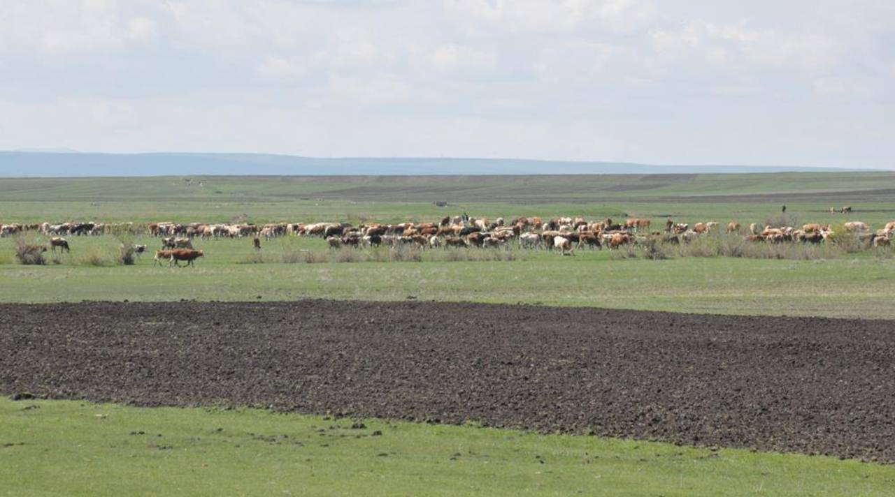 kars-mera-4.jpg
