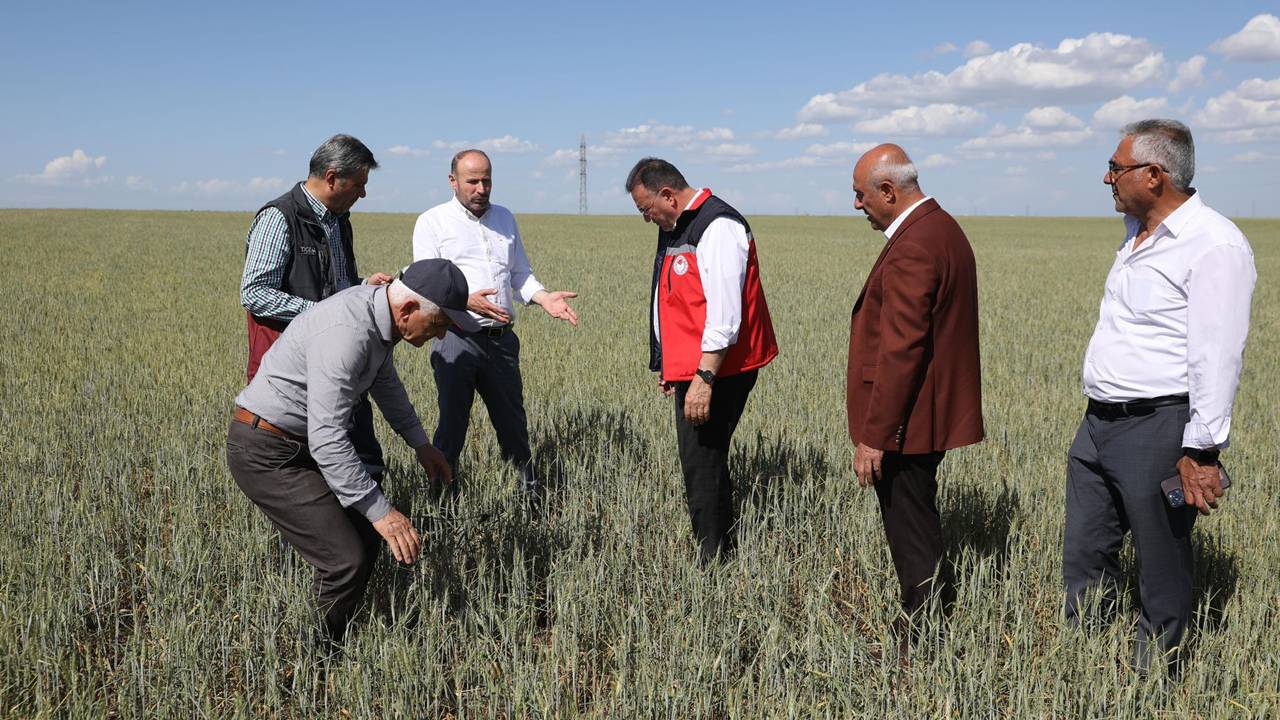 diyarbakir-kuraklik.jpg