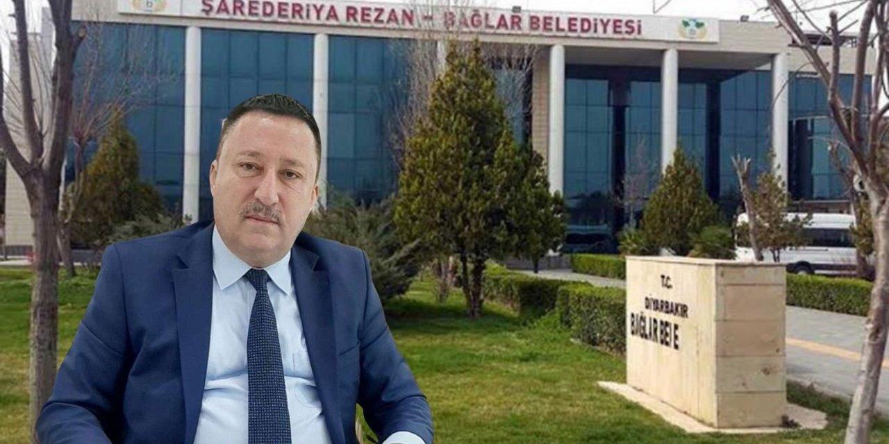 cvbv.jpg