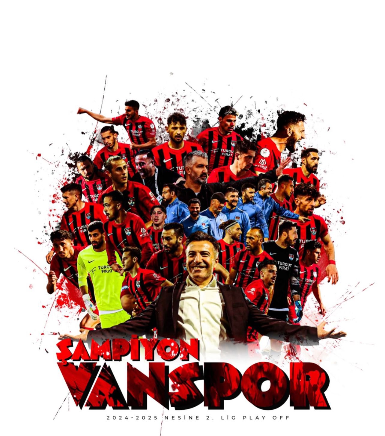 vansporreaii.jpg