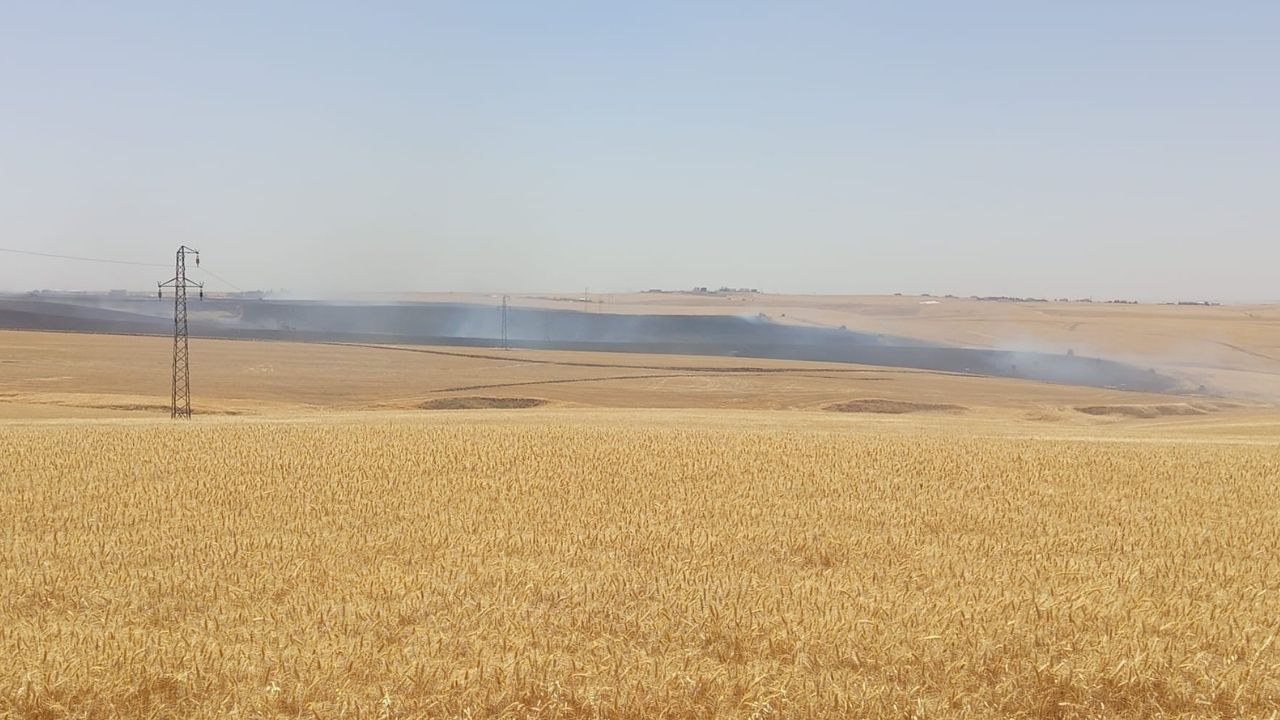 yilmaz-sanayi-42.jpg