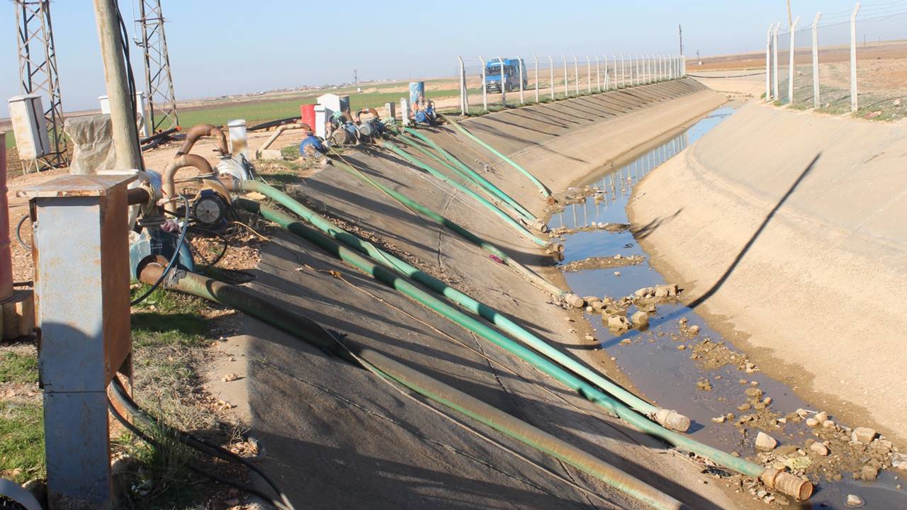 dicle-elekttirkk.jpg