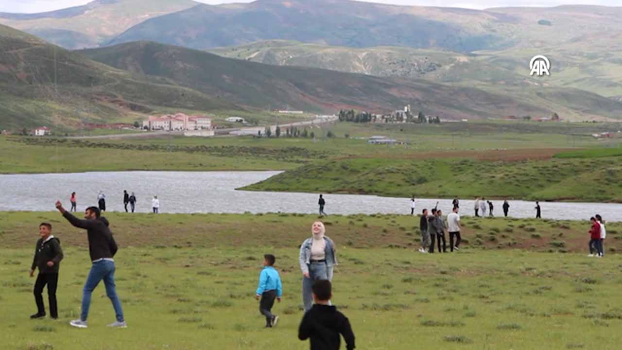 2-010.jpg