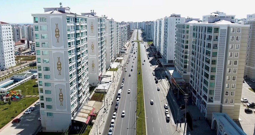 24498.jpg
