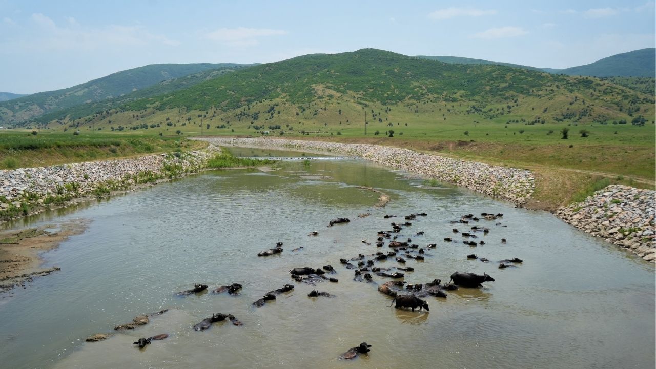 yilmaz-sanayi-3.jpg