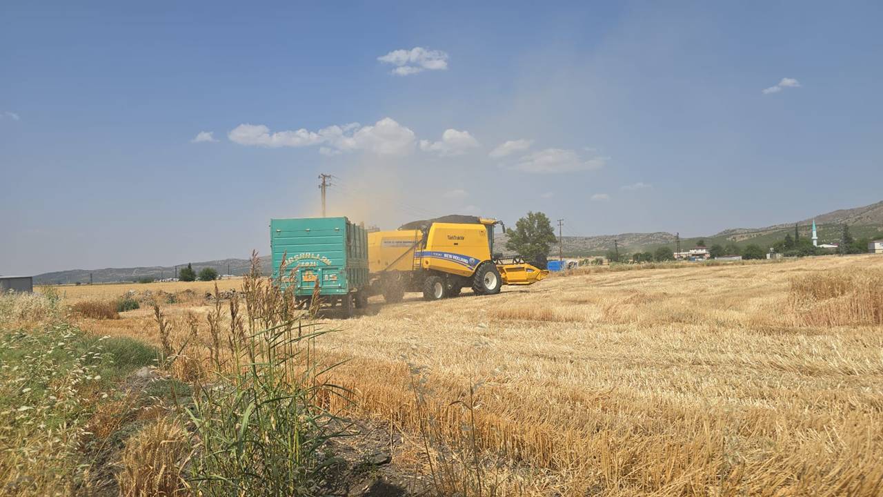 tarim-4.jpg