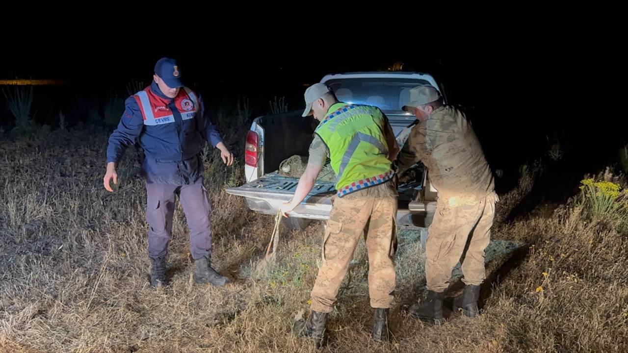 van-kacak-avlanan-1-ton-500-kilogram-inci-kefali-suya-geri-birakildi2.jpg