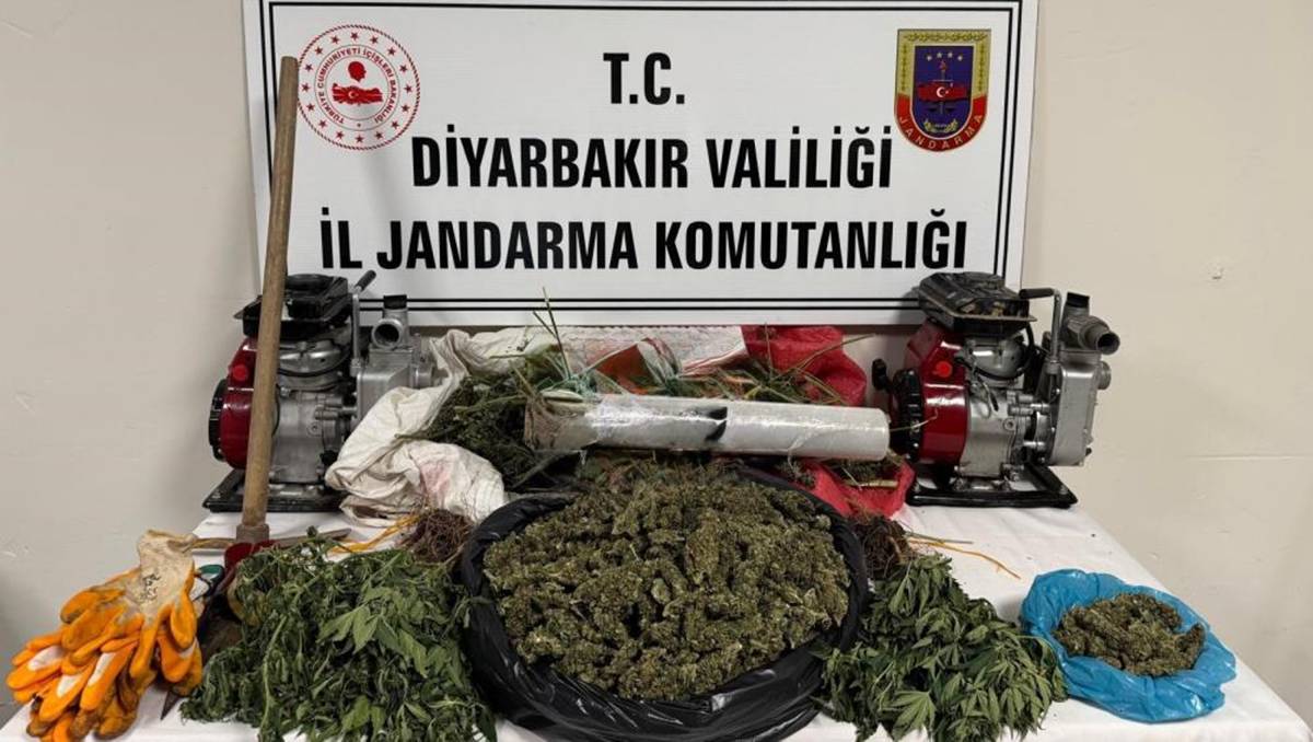 kenevir1.jpg