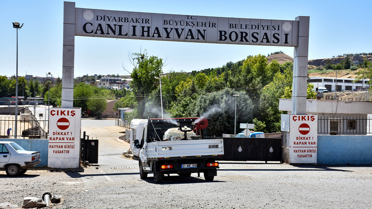 1-005.jpg