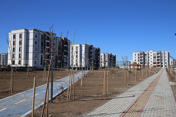 oglakli-toki-2.jpg