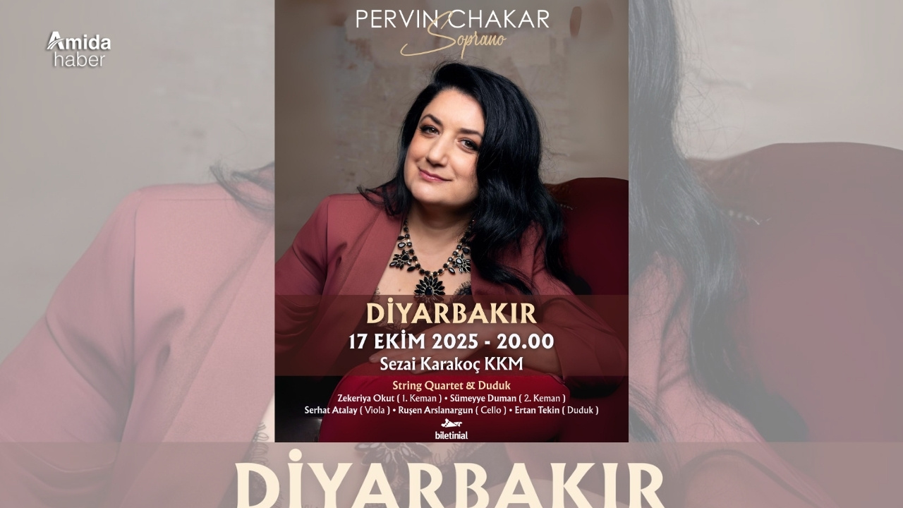 pervin-chakar-diyarbakir-2.jpg