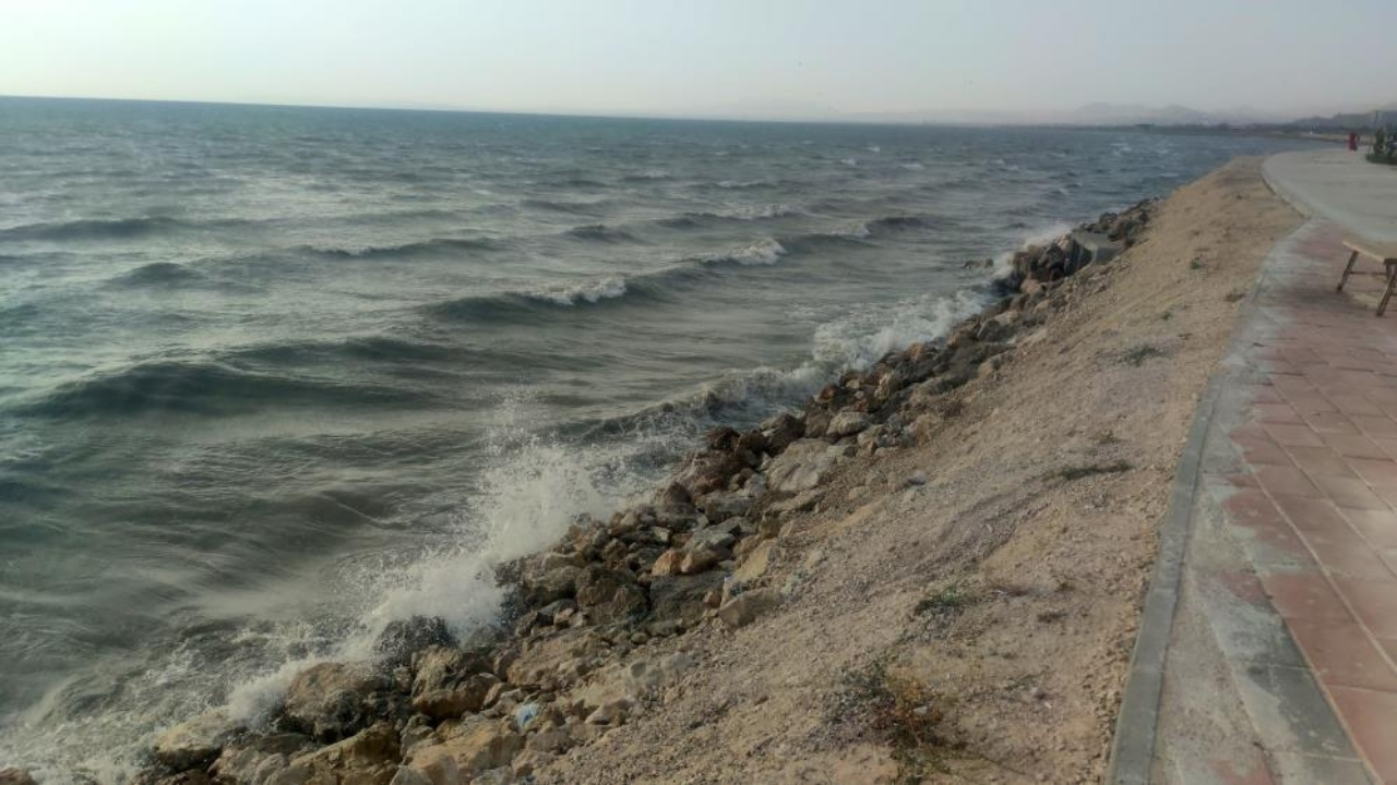 van-golu-dalga.jpg