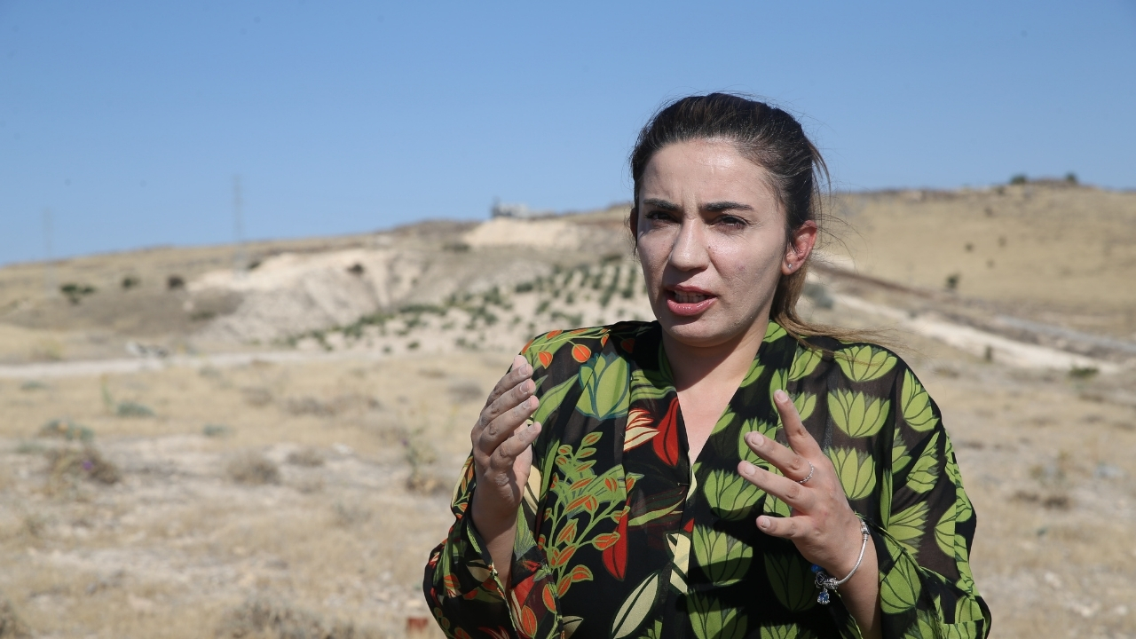 urfa-fidan.jpg