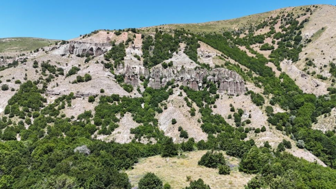 gelin-kayalar-1.jpg