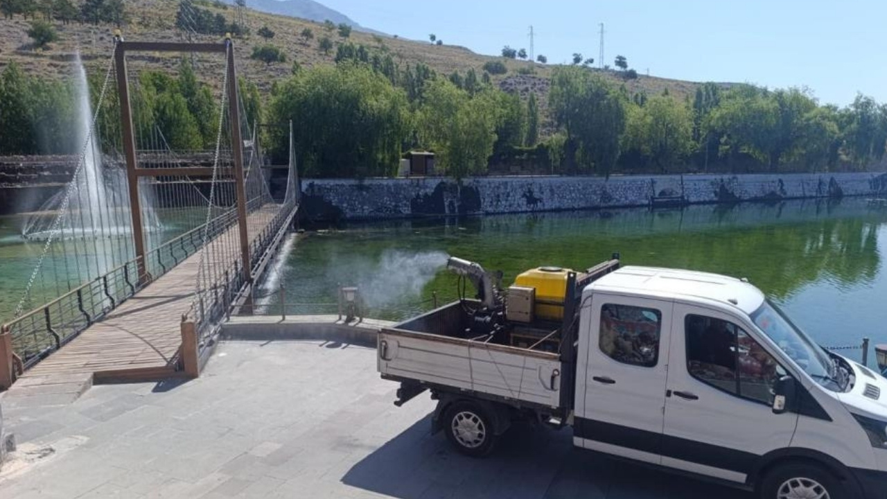 erzincan-sivrisinek-2.jpg