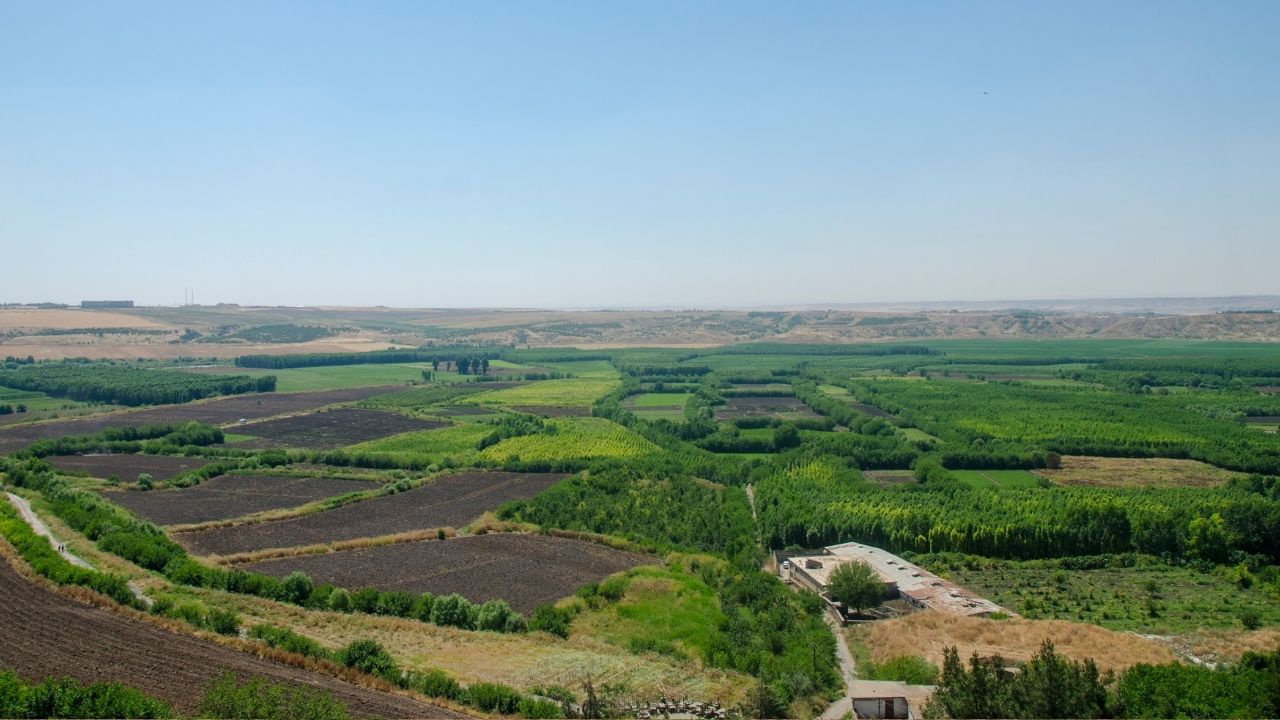 yilmaz-kasap-et-tavuk-3.jpg