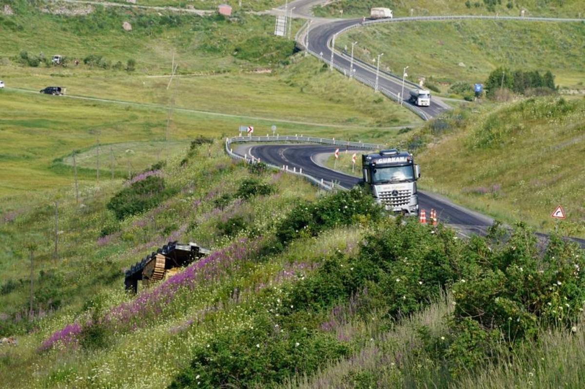tir-dorse-1.jpg