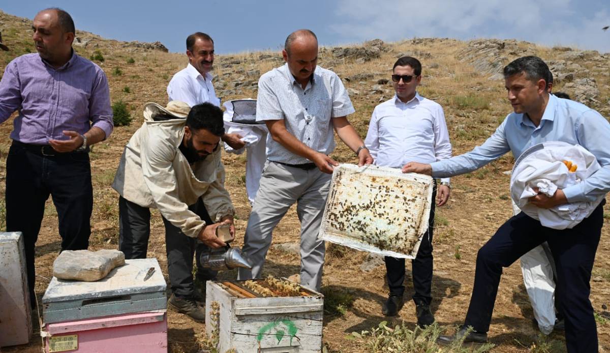 bal-hasadi-1.jpg