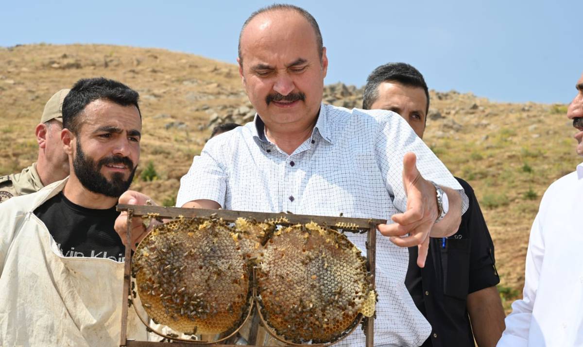 bal-hasadi-2.jpg
