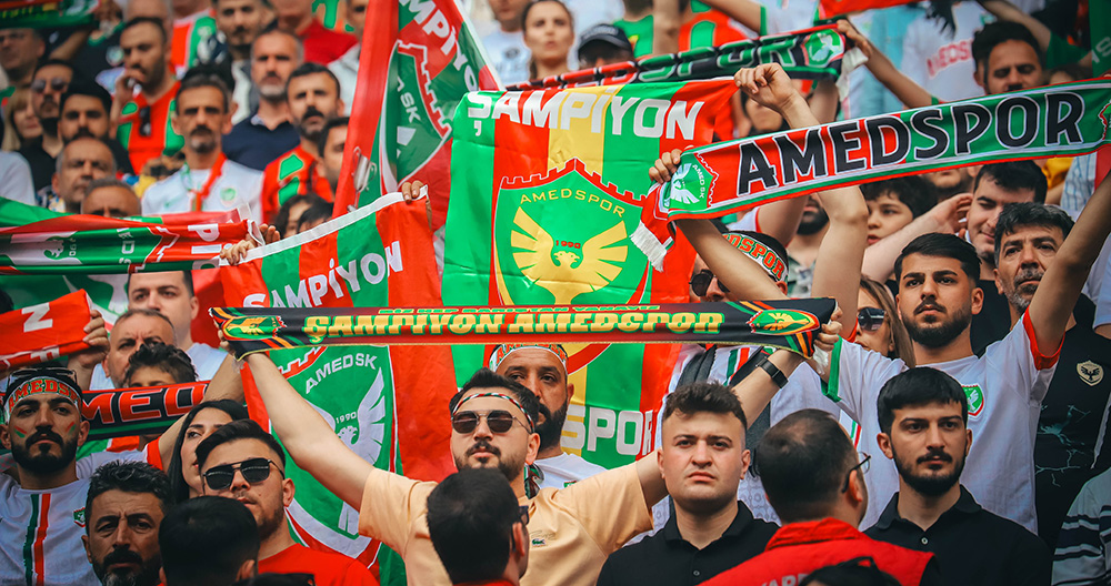 amed11.jpg