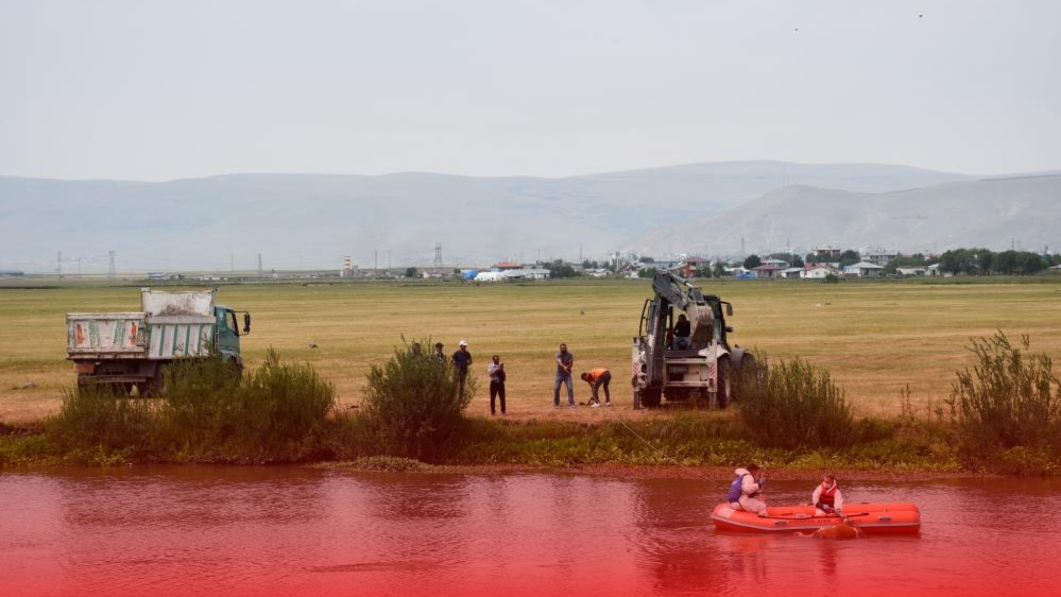 ardahan-inek.jpg