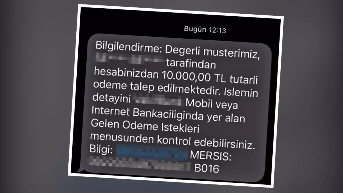 hhg.webp