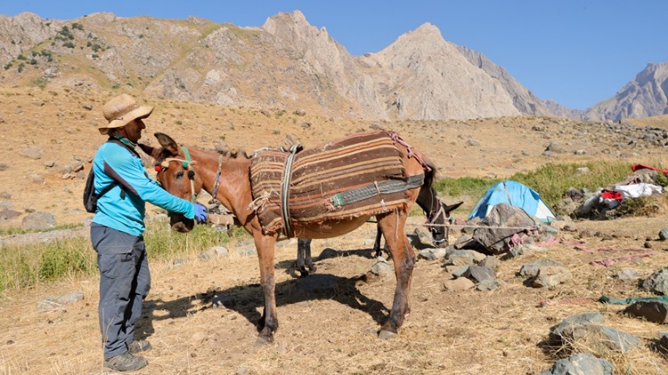 hakkari-dag-2.jpg