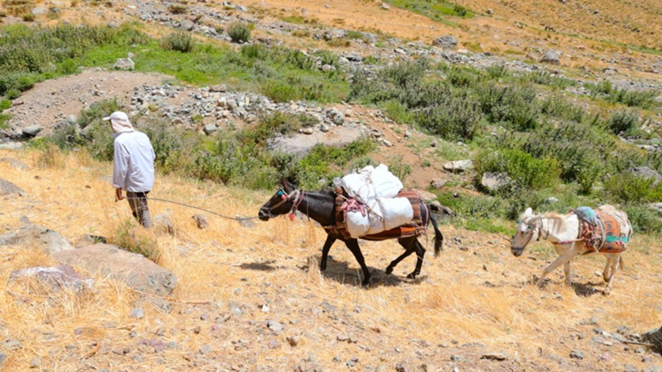 hakkari-dag-3.jpg