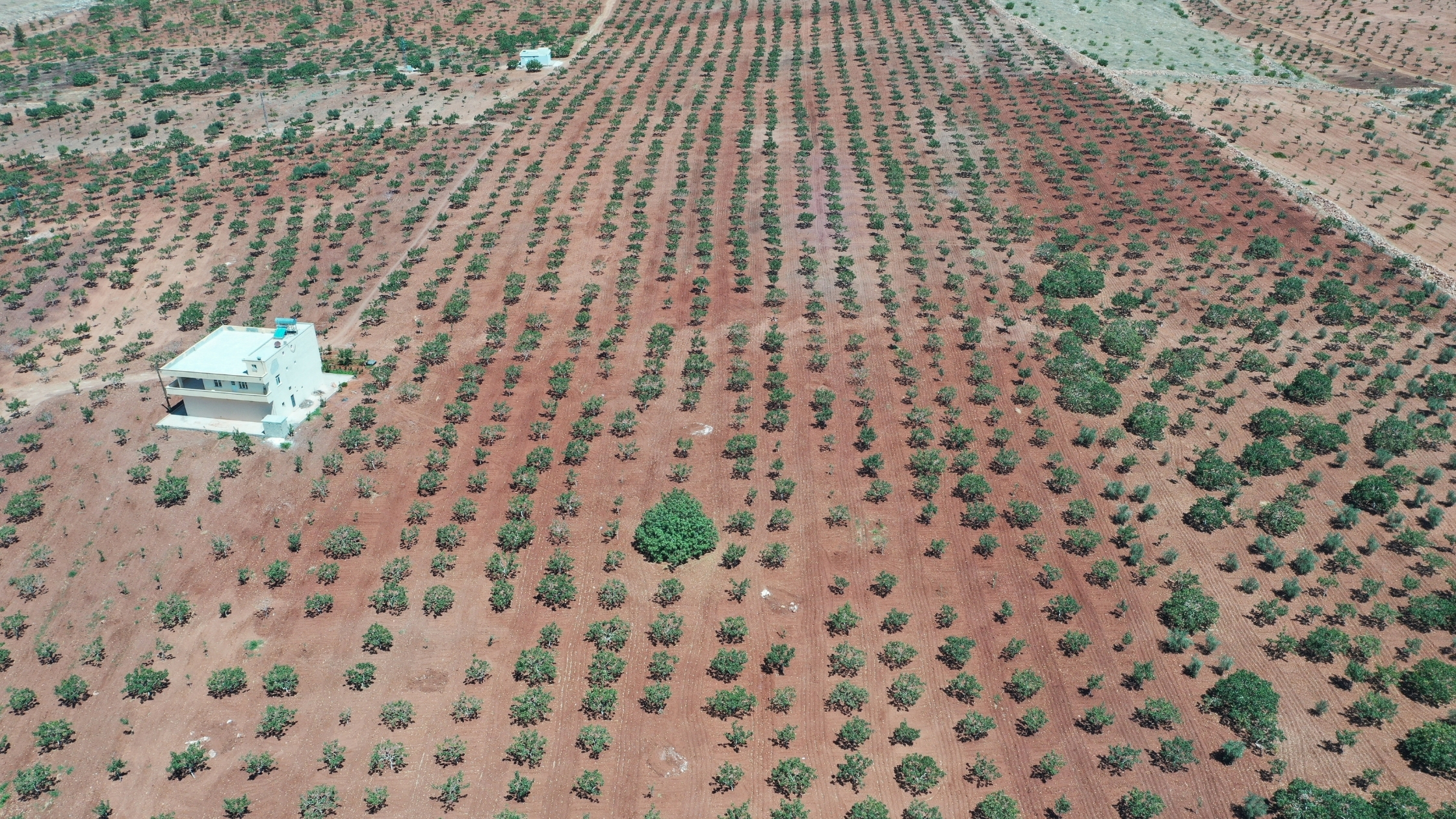 urfa-fisik-1.jpg