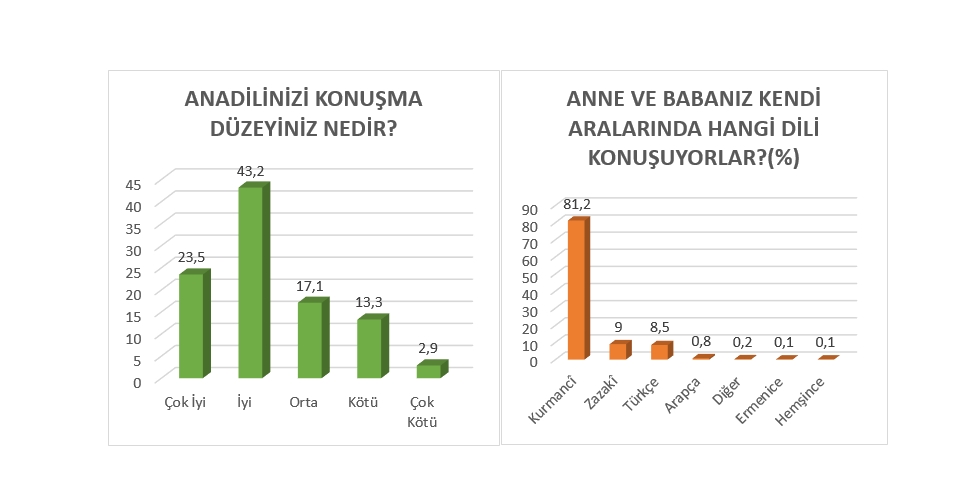 z-son-anket.jpg