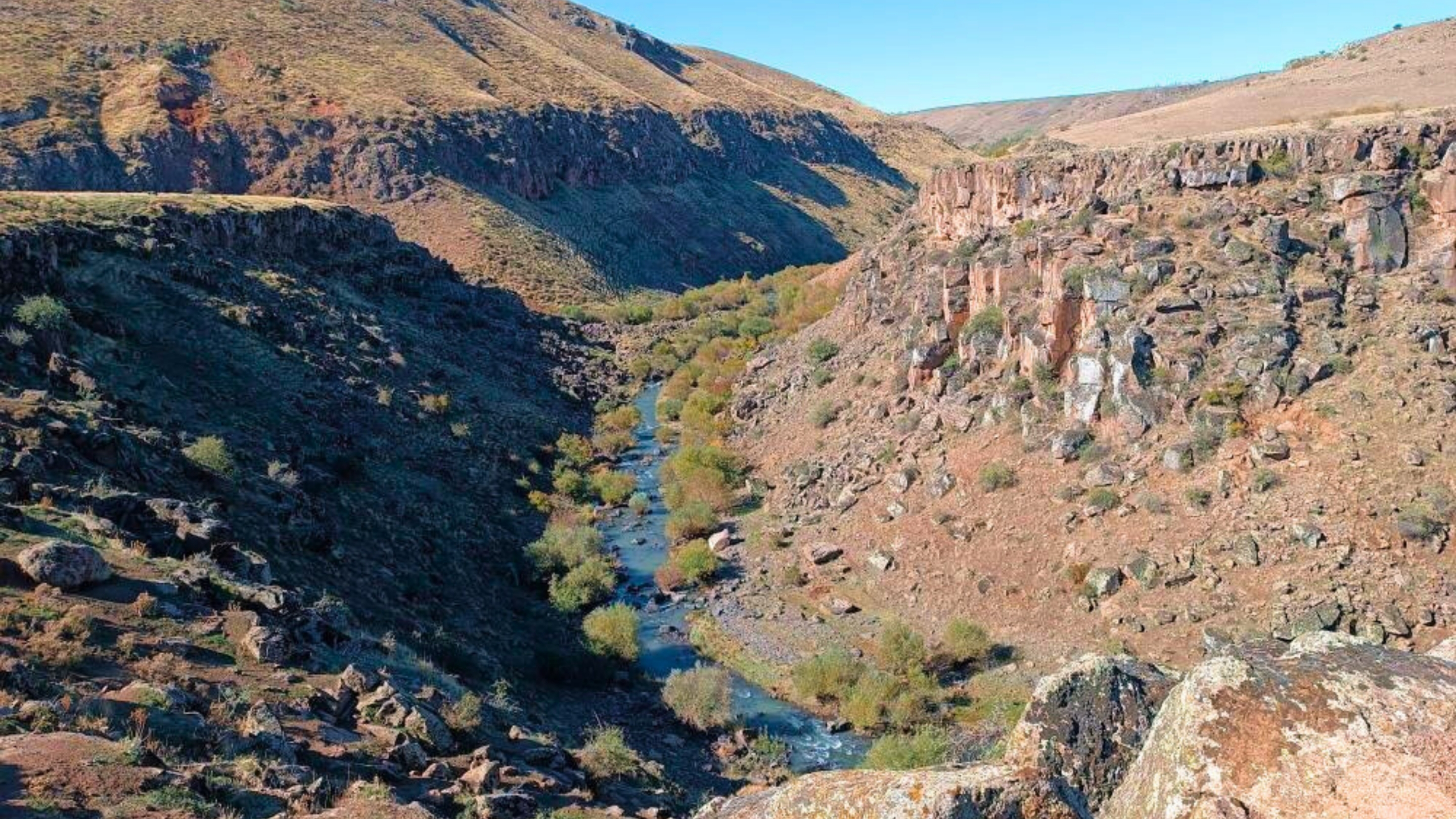 delicay-kanyonu-2.jpg