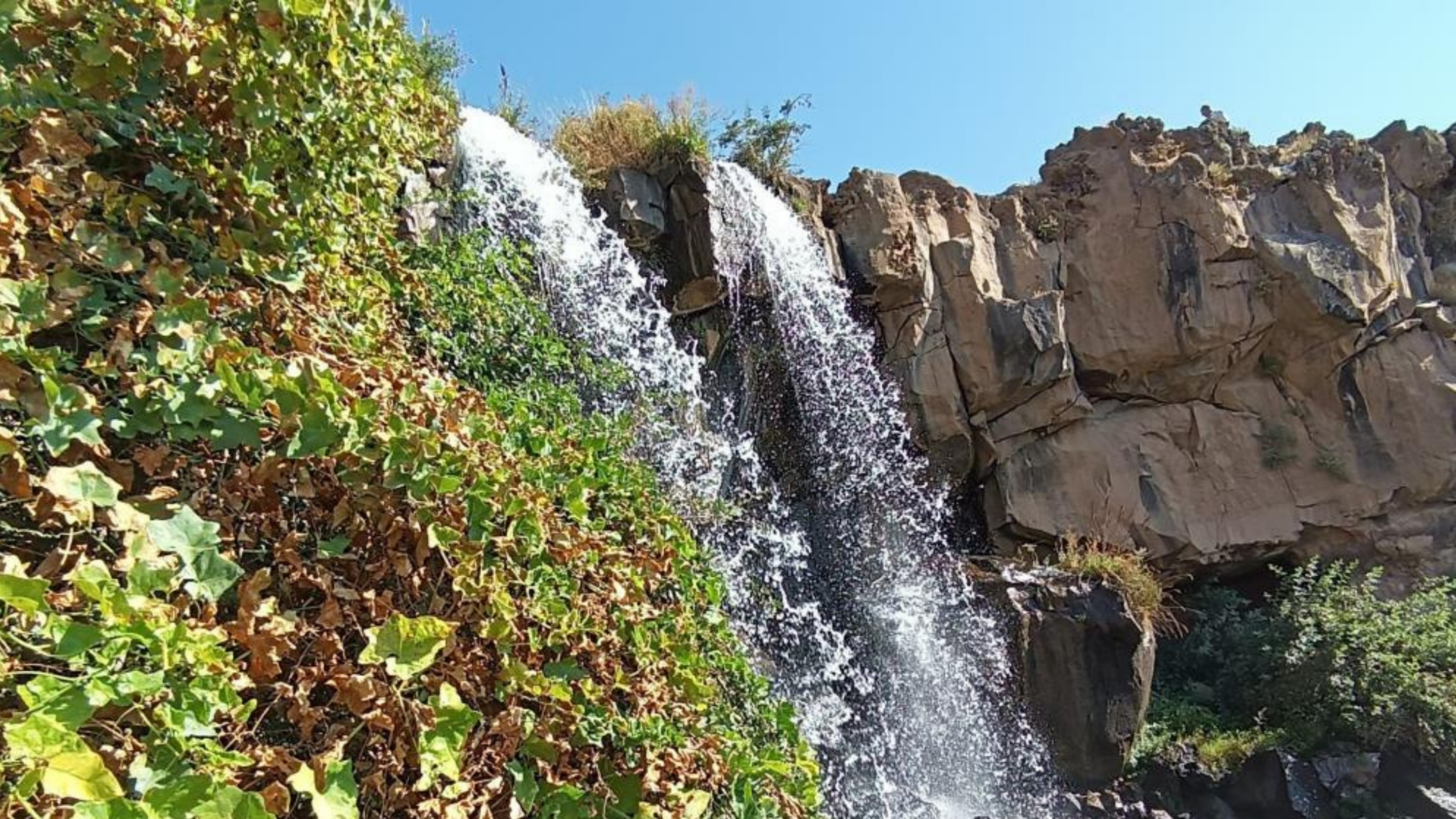delicay-kanyonu.jpg
