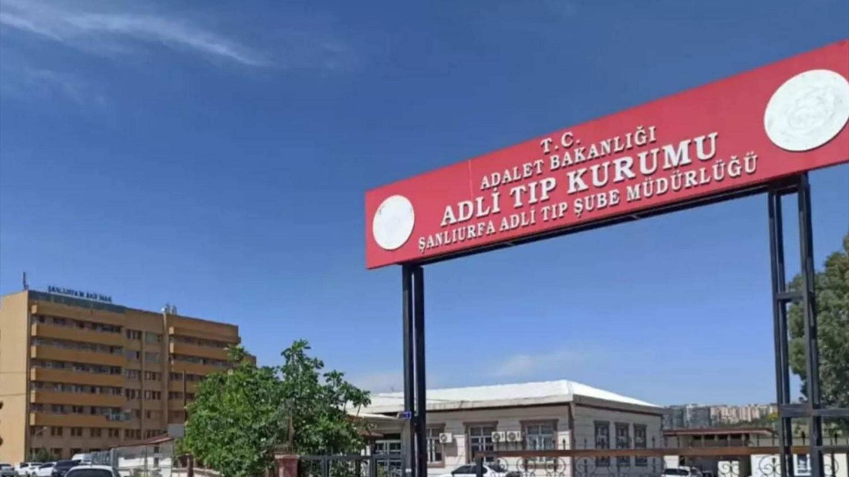 urfa-kaza-1.jpg