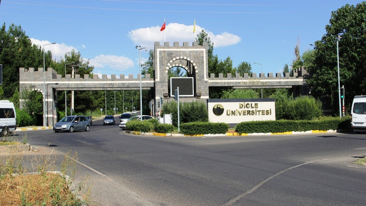 dicle-un55.jpg