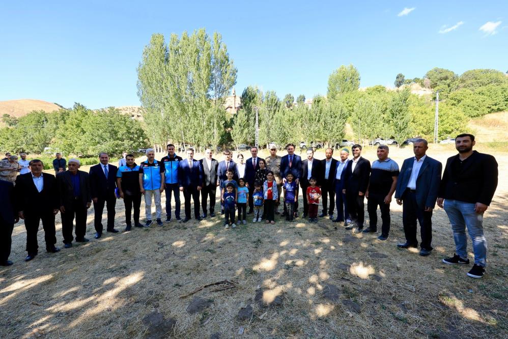 koy-asfaltaea.jpg