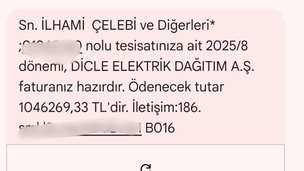 dicle-elektiirk-2.jpg