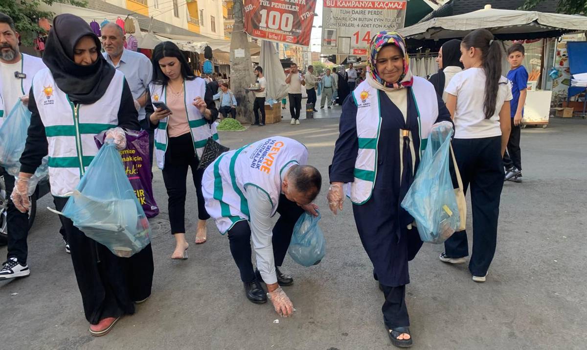 akp1.jpg