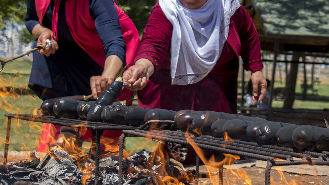 oguzhan-2019-temmuz-patlican3.jpg
