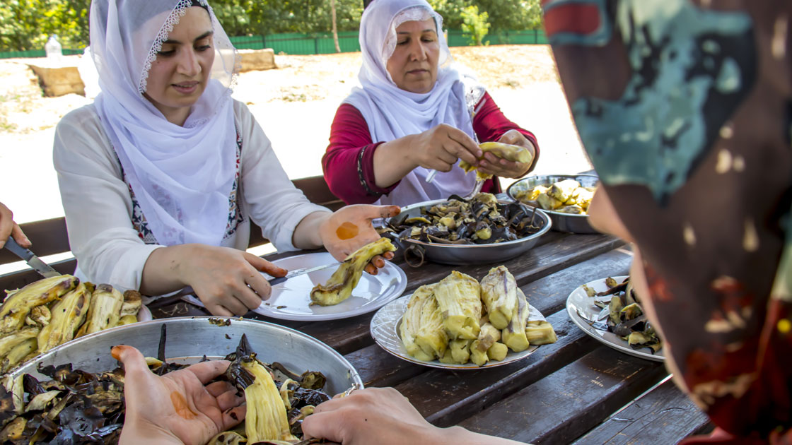 oguzhan-2019-temmuz-patlican5.jpg