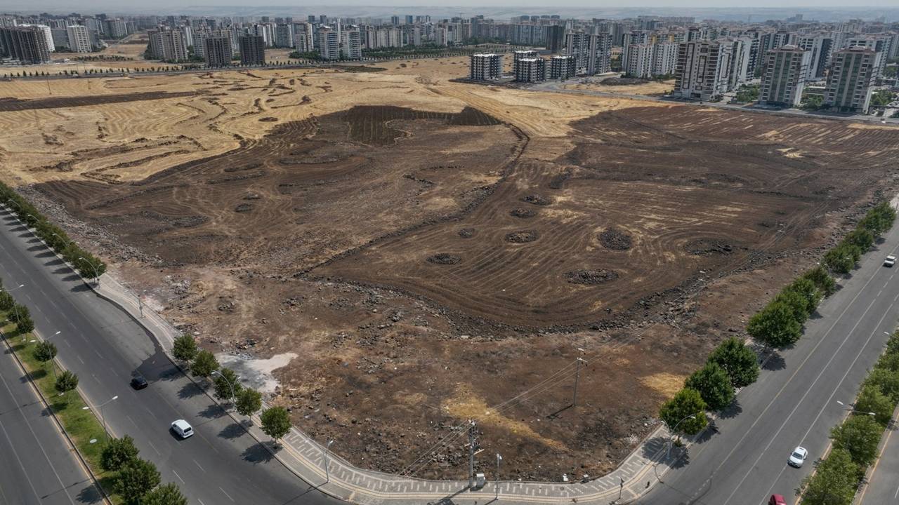 park-3.jpg