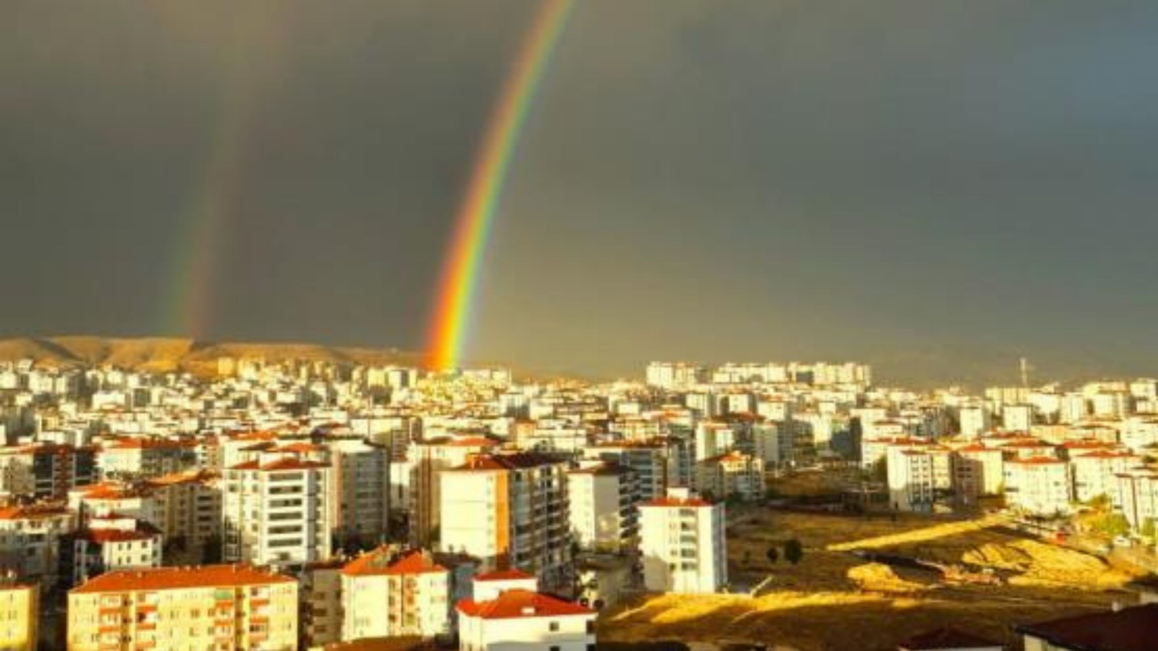 amedspor-5.jpg