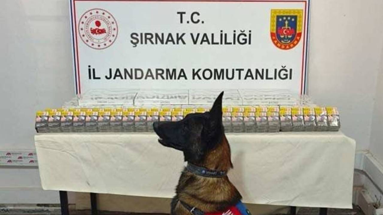 sirnak-k5.jpg